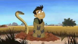 WILD KRATTS THEMEmp4 [upl. by Rehctelf]