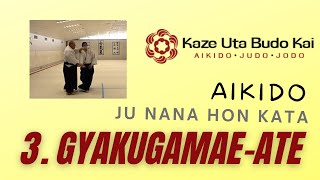 Aikido Ju Nana Hon Kata  3 Gyaku Gamae Ate [upl. by Bonnie]