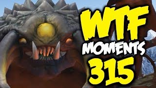 Dota 2 WTF Moments 315 [upl. by Ynaffat]