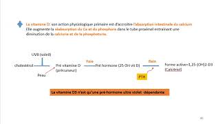 Cours dEndocrinologie vidéo 7  Les Parathyroïdes [upl. by Munson]