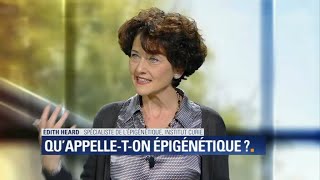 Chronique santé  l’épigénétique c’est quoi [upl. by Urbana]