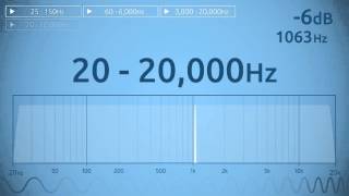 20  20000 Hz Audio Sweep  Range of Human Hearing [upl. by Eustis]