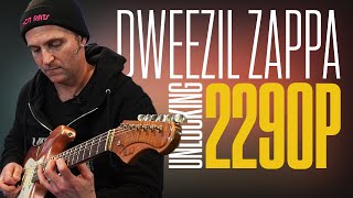 Dweezil Zappa jamming with the 2290 P Dynamic Delay pedal [upl. by Immat]