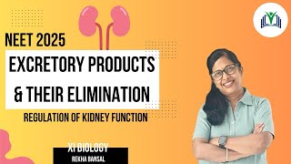 Chapter 16 Excretory Products and their Elimination Regulation of Kidney Function [upl. by Verada]