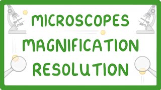 GCSE Biology  What is Microscopy 5 [upl. by Sosthina]