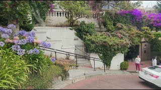 LOMBARD STREET  The Crookedest Road sanfrancisco street [upl. by Sanoj]