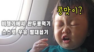 6시간 비행기도 잘타는 19개월 아기ㅣ한번도 울지 않음 싱가포르여행 대한항공기내식 아기해외여행 [upl. by Seif]