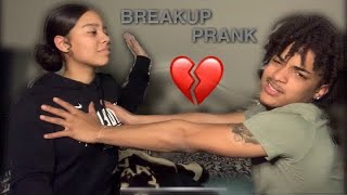 DampB NATIONIM BREAKING UP WITH YOU PRANK GONE WRONG CRYING [upl. by Nilkoorb]