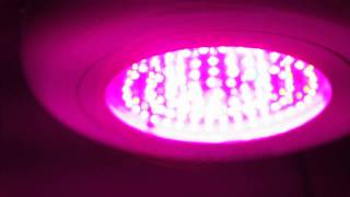 PRAKASA® 90W Tri Band LED Grow Light [upl. by Enilorac]