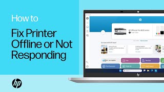 How to fix an HP printer that is offline or not responding from a Windows computer  HP Support [upl. by Langdon]