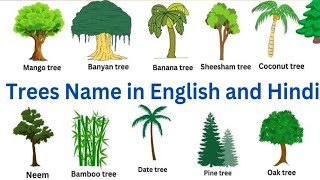 Trees Names 10 पेड़ों के नाम Tree name herbs shurbs plant पेड़ का नाम हिंदी में पेड़ का नाम [upl. by Uel]