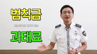 비슷하지만 차이가 있는 범칙금 vs 과태료 [upl. by Farrand]