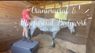 Equine Craniosacral Therapy amp Myofascial Release  Stephanie Chan [upl. by Enimaj]