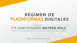 ¿Cómo funciona el régimen de plataformas digitales [upl. by Clive]