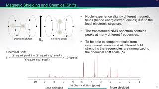 Nuclear Magnetic Resonancebased Metabolomics  2021 EMSL Summer School [upl. by Gareri]