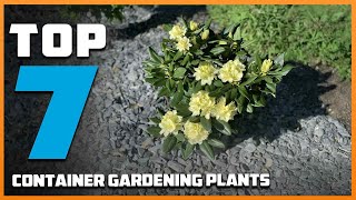 7 Best Plants for Container Gardening Beginners Must Try [upl. by Aitnic]