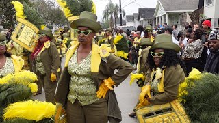 New Orleans Second Line  Lady amp Men Buck Jumpers 2023 [upl. by Laenahtan256]