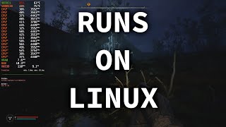 STALKER 2 Heart of Chornobyl Runs on Linux Unreal Engine 5 DLSSFG [upl. by Kirsteni701]