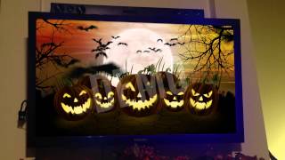 Halloween Window Projections Volume 1 DVD Examples [upl. by Hasila710]