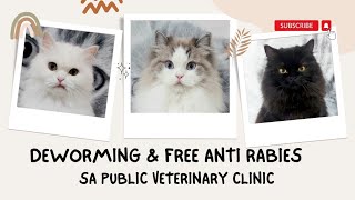 PAANO MAG DEWORM AT ANTI RABIES VACCINE SA PUBLIC VET  DEWORMING AT ANTI RABIES LIBRE LANG [upl. by Drahsir]