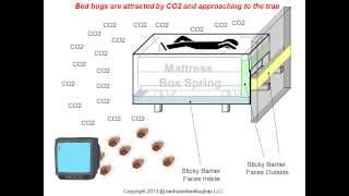 Bed Sized Bed Bug Trap Better Than Any CO2 Traps [upl. by Broddie]