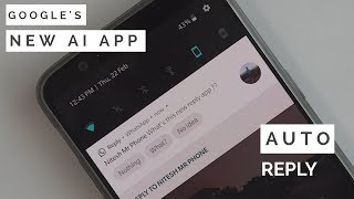 Googles new AI app Auto Reply Do check it out [upl. by Aivad141]