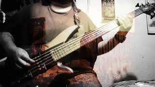 The Cranberries  Ridiculous thoughts Bass cover by Alterbassman [upl. by Epul]