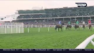 Paisley Park Stayers Hurdle Cheltenham 2019 [upl. by Ardnoet97]