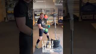 CANELO BEATING UP THE COBRA BAG TRAINING FOR JAIME MUNGUIA  TARGET PRACTICE [upl. by Eniarral]