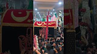 8 MUHARRAM GASHT KESAR BAUG 2024 [upl. by Haimarej525]