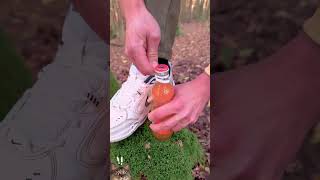 Amazing Lifehack survival lifehacks camping bushcraft [upl. by Rhpotsirhc381]