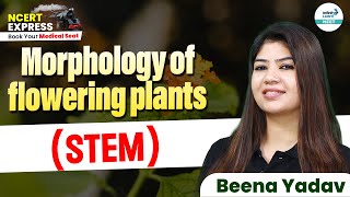 All About STEM in Flowering Plants Simple Explanation  NEET 2025 Botany  📚 NCERT Line By Line [upl. by King]