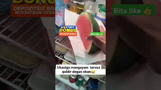 😱SHUNAQA UKALAR HM BOR musicgenre funny musiqa memes musiqalar [upl. by Scribner]