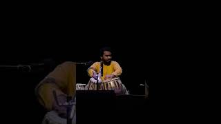 Yashwant Vaishnav Tabla Solo Snippet shorts [upl. by Breen]