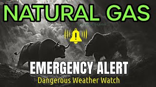 Will Natural Gas Price Rise More Next Week Natural Gas Price Forecast for 1115 Nov24 [upl. by Mcknight]