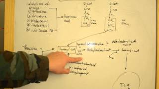 Proprionic Acidemia  Simplified Explanations for USMLE Step 1 [upl. by Enellek]