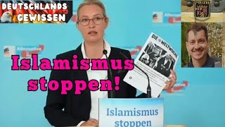 💥Alice Weidel  Die Schuldigen💥 [upl. by Ursi]