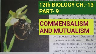 Class 12 biology chapter 12 part 9Commensalism amp mutualismStudy with Farru [upl. by Aziza]