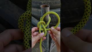 Great Knot You Have Ever Seen Bowline Knot [upl. by Mainis]