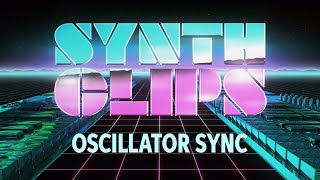 Oscillator Sync – Synth Clips 17 – Daniel Fisher [upl. by Ettennil301]