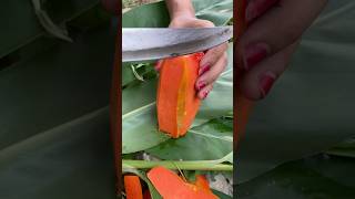 Viral papaya fruit [upl. by Arhsub]