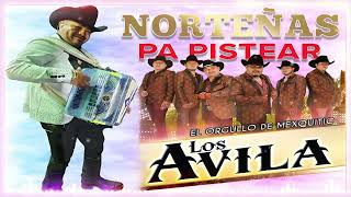 Puras Norteñas Para Pistear Mix 2024 🧡 Los Avila Sus 20 Mejores Canciones 2024 🧡Norteñas Pa Bailar🧡 [upl. by Nyrehtac]