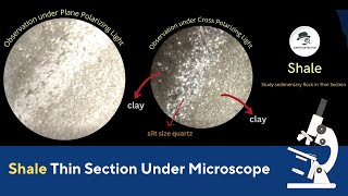 Shale Thin Section under Microscope with optical Properties of Rocks [upl. by Adelbert]