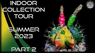 Cacti amp Succulent Indoor Collection Tour  Summer 2023 Part 2  Cactus amp Succulents [upl. by Eadahc]