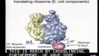 Mechanisms of Protein Translocation Across Membranes [upl. by Dupre]