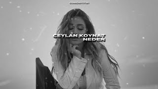 Ceylan Koynat NEDEN Peki O Zaman slowedreverb pekiozaman [upl. by Fowkes]