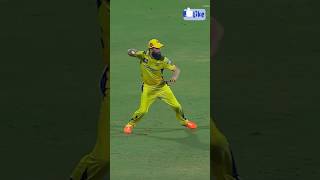 Moeen Alis Beautiful Run Out🔥🔥🔥cricket ipl csk [upl. by Suiratnod338]