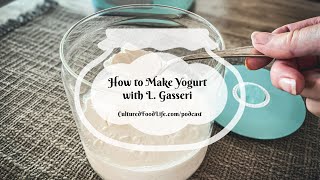 Podcast Episode 226 How to Make Yogurt with L Gasseri [upl. by Roban]