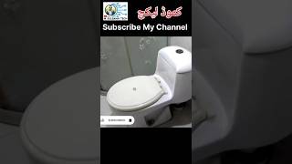 Commode Flush Tank Leakage  English Toilet Seat Leakage [upl. by Janik]