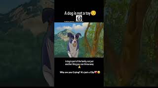 If you cant love a dog like a familymemberDont get one😔❤️‍🩹dogloverytviraljaipurlovedogs💫 [upl. by Steward]